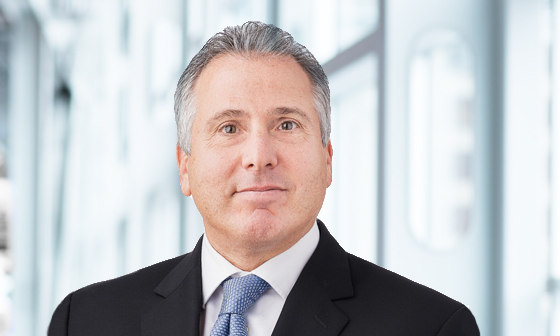 Image for Building Efficient Hedge Fund Portfolios