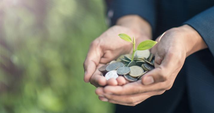 Image for ESG Factors in Fixed Income Investing