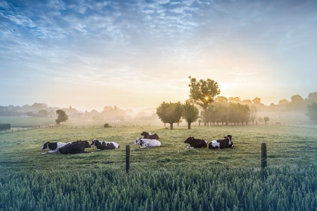 Image for The Art and Science of Farmland Investing