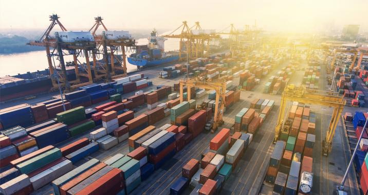 Image for Trade Protectionism