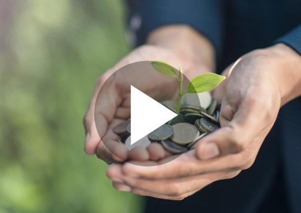 Image for ESG Factors in Fixed Income