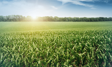 Image for Alternative Facts: How Alternative Asset Classes Can Improve Portfolios