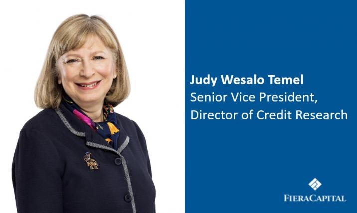 Image for Shifting Party Power in the States: Credit Implications