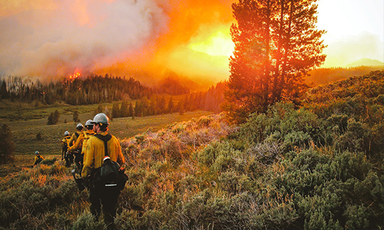 Image for California Investor-owned Utility Bankruptcy Elevates Wildfire Risk Concerns