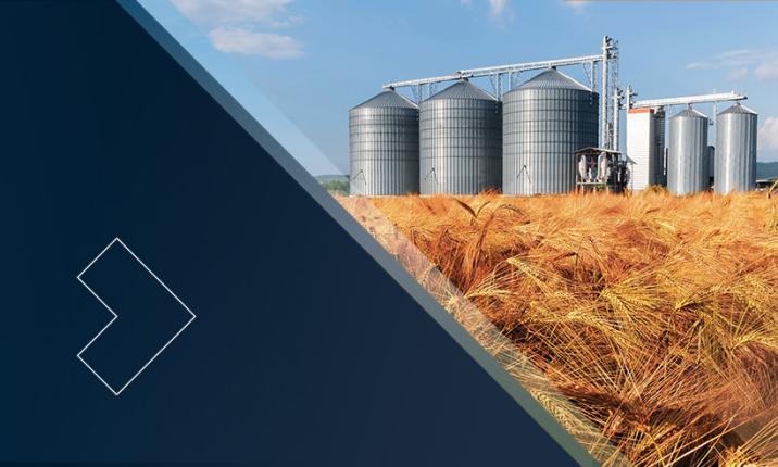 Image for Seeds of Opportunity - The Strategic Goals of Agriculture Investing