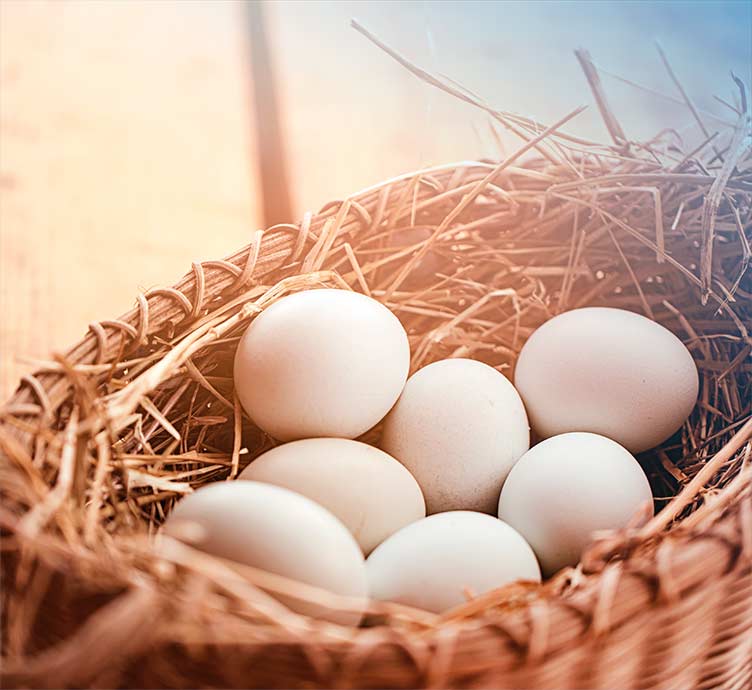 Fiera Capital Insights Image White paper Conviction Versus Quantity
