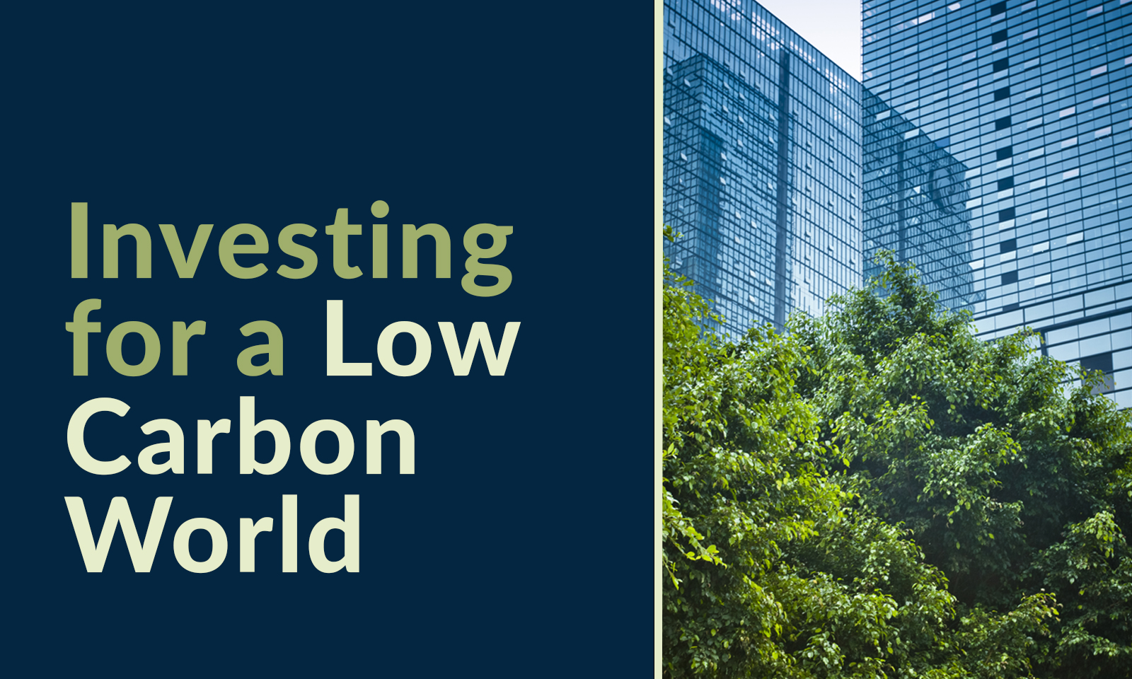 Investing for a Low Carbon World